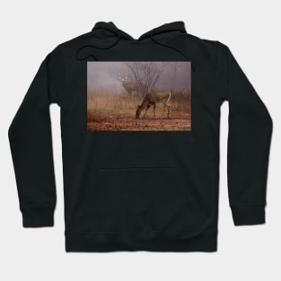 Buck eyes doe - White-tailed Deer Hoodie